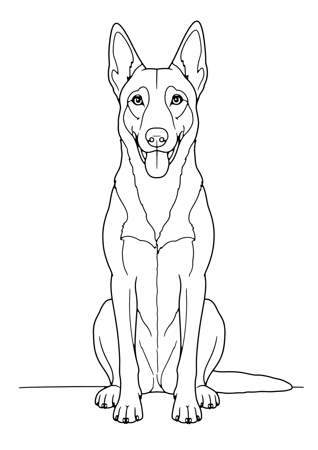 Pastor belga malinois sentado para colorear