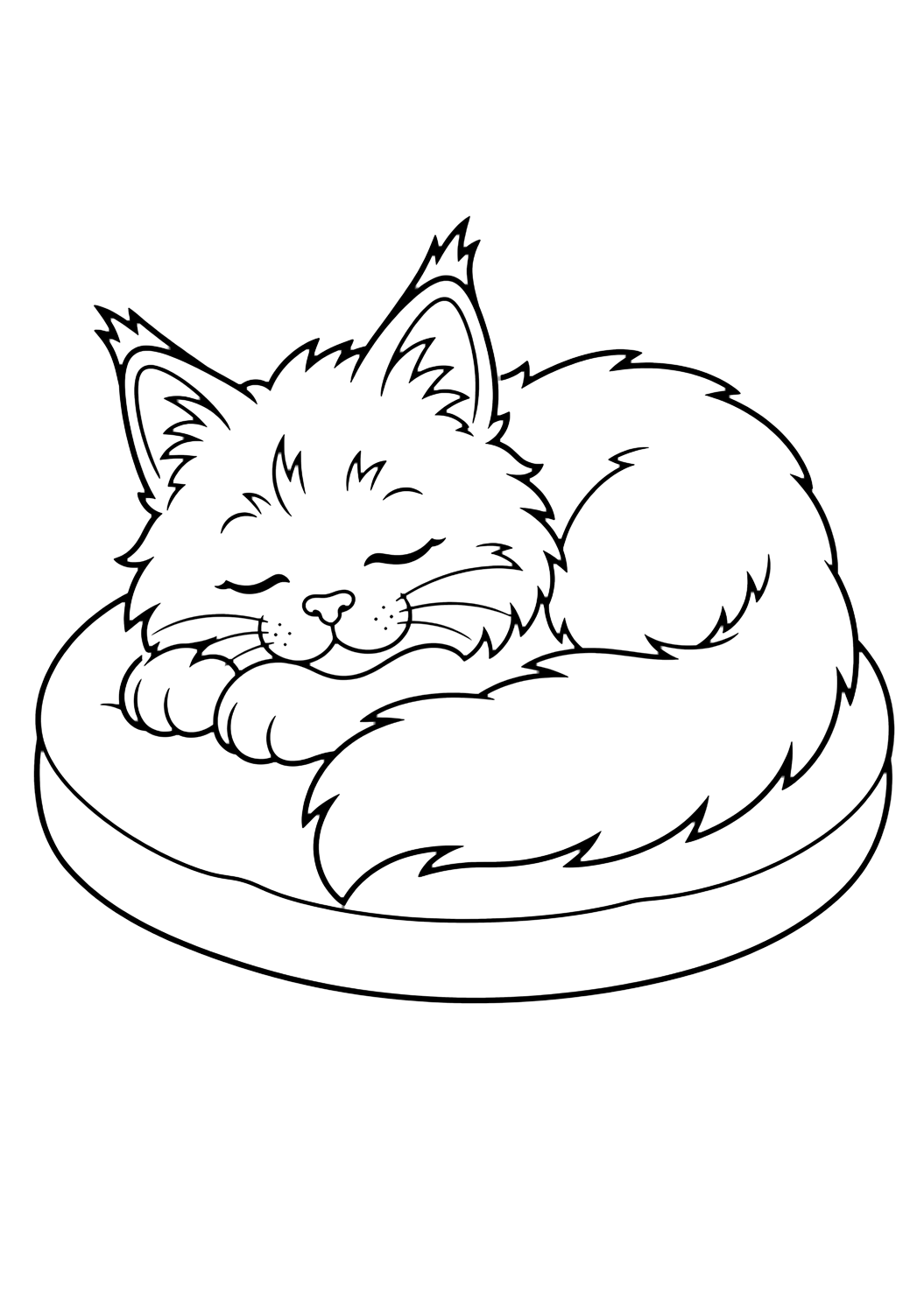 Coloriage chaton Maine Coon endormi