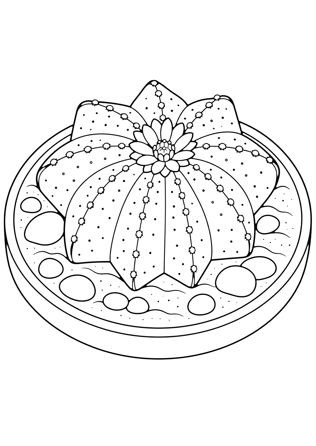 Cactus stella da colorare con un cactus con costolature chiare, piccole spine sicure, vaso o sassolini del deserto e spazi chiusi comodi. Perfetta per i bambini che amano i disegni di cactus da colorare da stampare e colorare online.