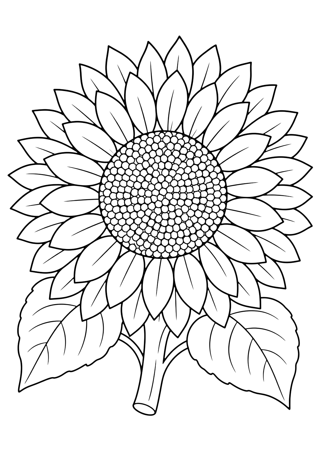 Sonnenblume aus der Nähe Ausmalbild mit Sonnenblumen mit großen runden Blütenmitten, breiten Blütenblättern, Blättern und kleinen Gartendetails. Ideal für Kinder, die Sonnenblumen-Ausmalbilder zum Ausdrucken und Online-Ausmalen mögen.