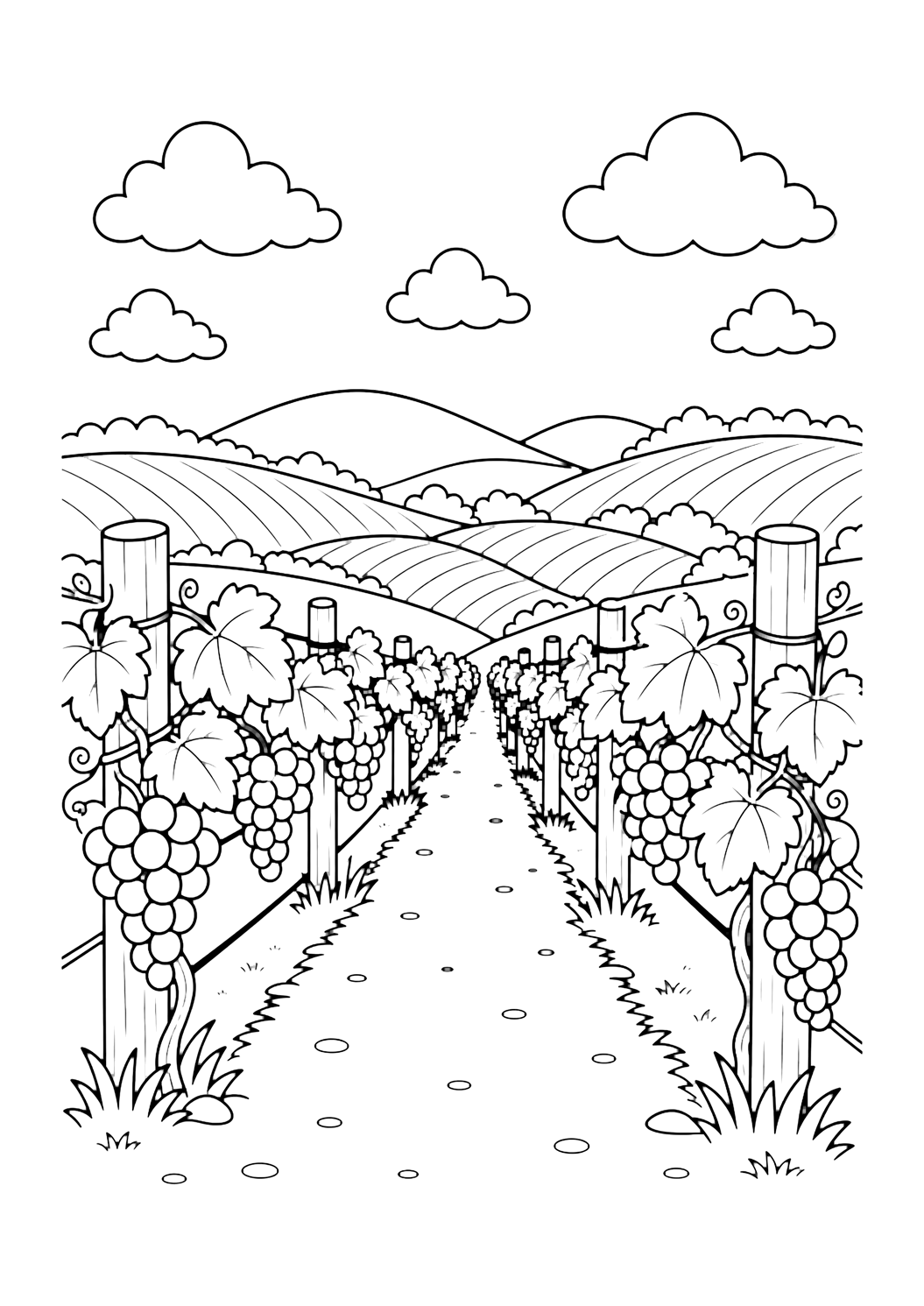 Camino entre viñedos para colorear