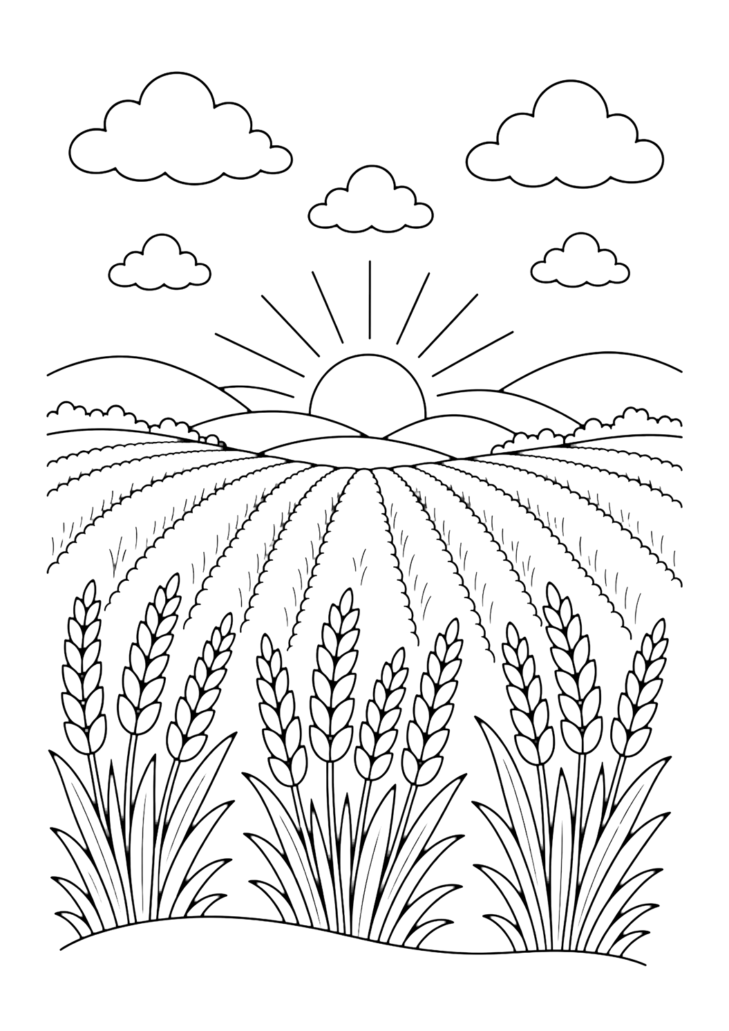 wheat field sunset coloring page with a wheat field at sunset with a low sun, simple rays, crop rows, and distant hills for kids