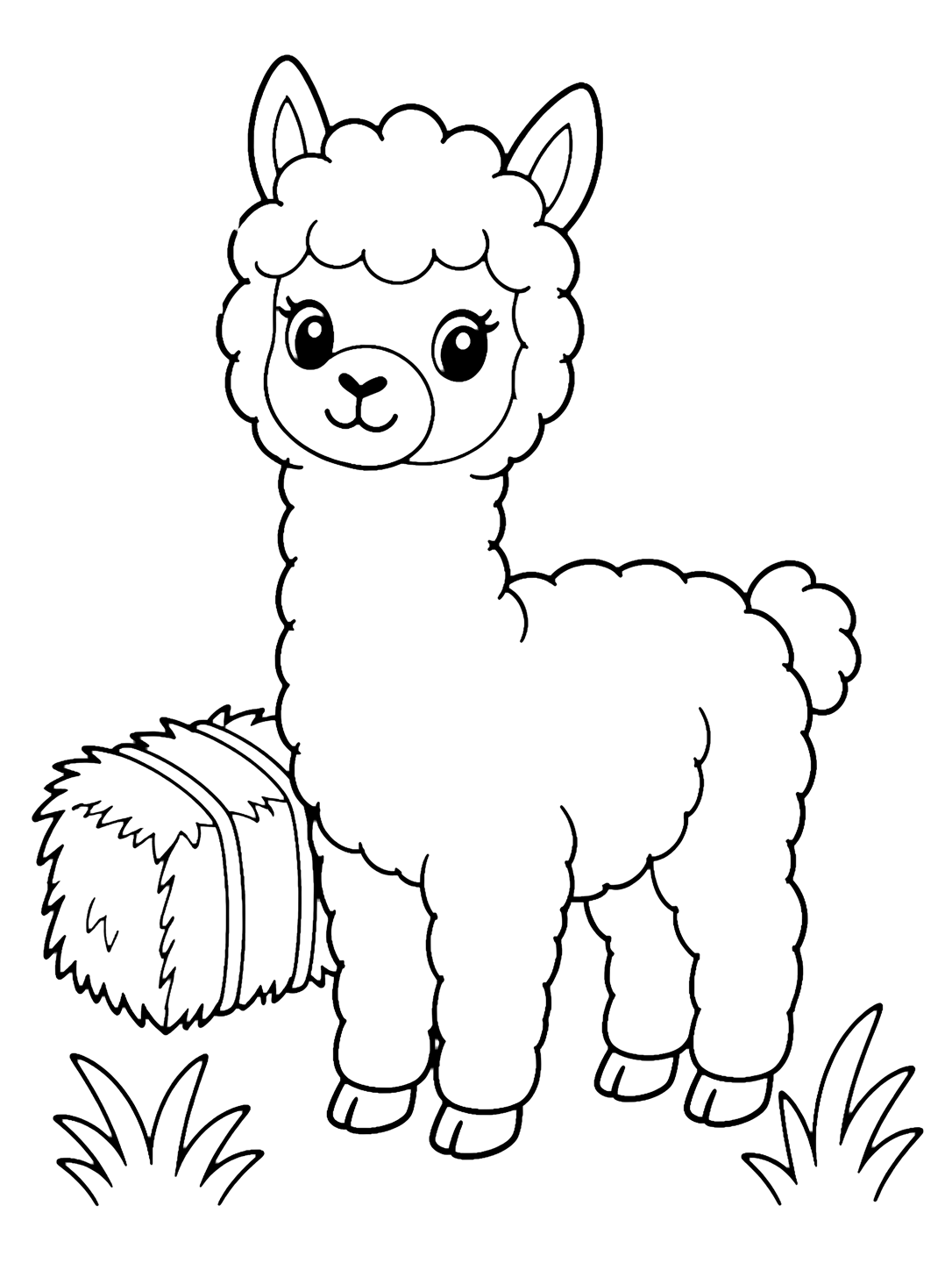 Alpaca tenera con fieno da colorare