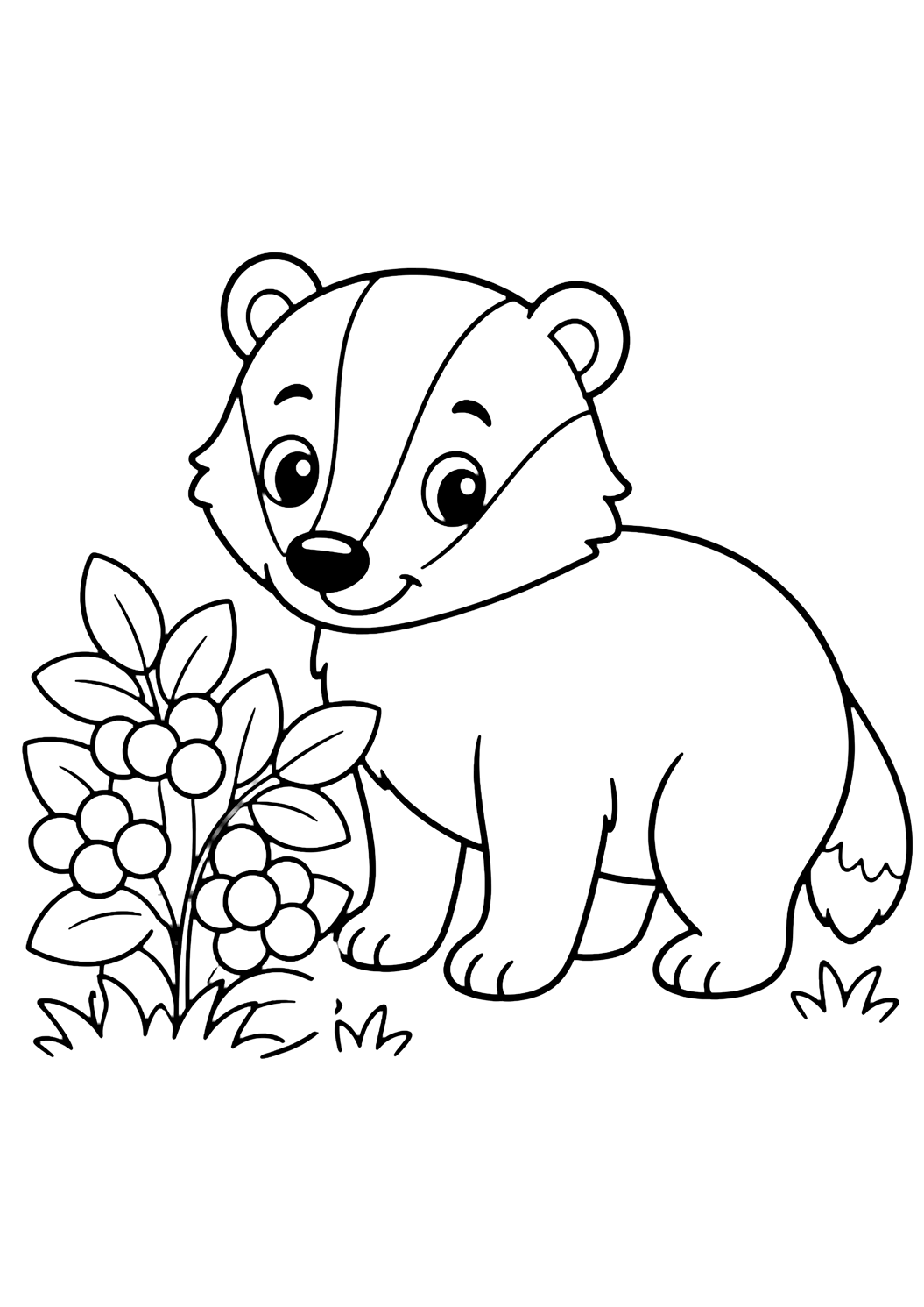Coloriage blaireau mignon avec baies