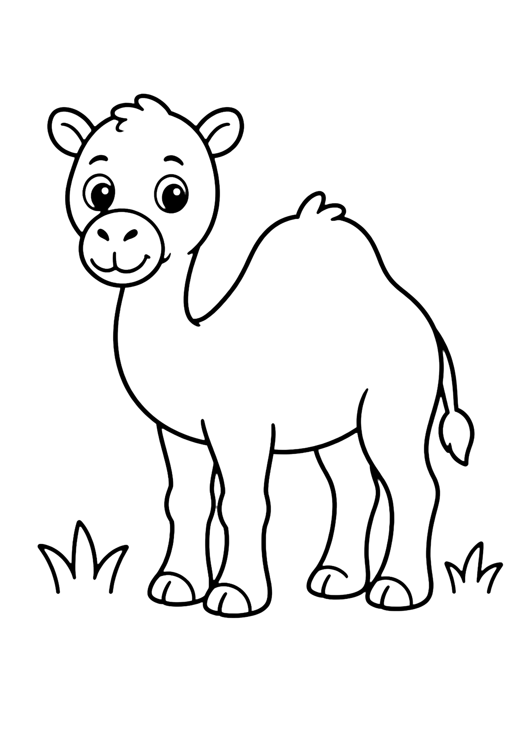 easy zoo camel coloring page with easy line art for kids