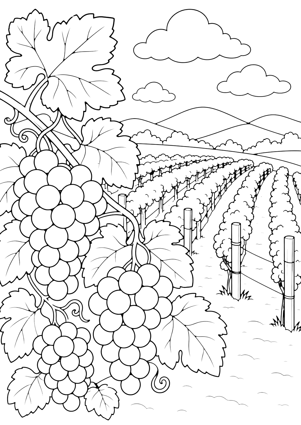 weinberg mit traubenrispe ausmalbild mit großen traubenrispen aus der nähe und breiten weinblättern im vordergrund, mit einfachen weinberg-reihen, spalierpfosten, niedrigen hügeln, wolken und offenem himmel dahinter für kinder