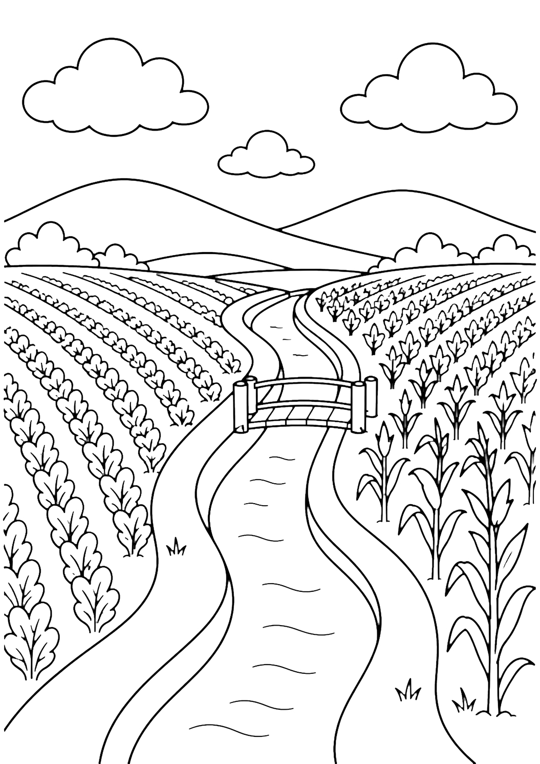 dibujo para colorear de granja con un canal de riego estrecho que se curva entre campos de cultivo, con orillas suaves, hileras de cultivos sencillas a ambos lados, un pequeño puente peatonal, colinas a lo lejos, nubes y cielo abierto para niños