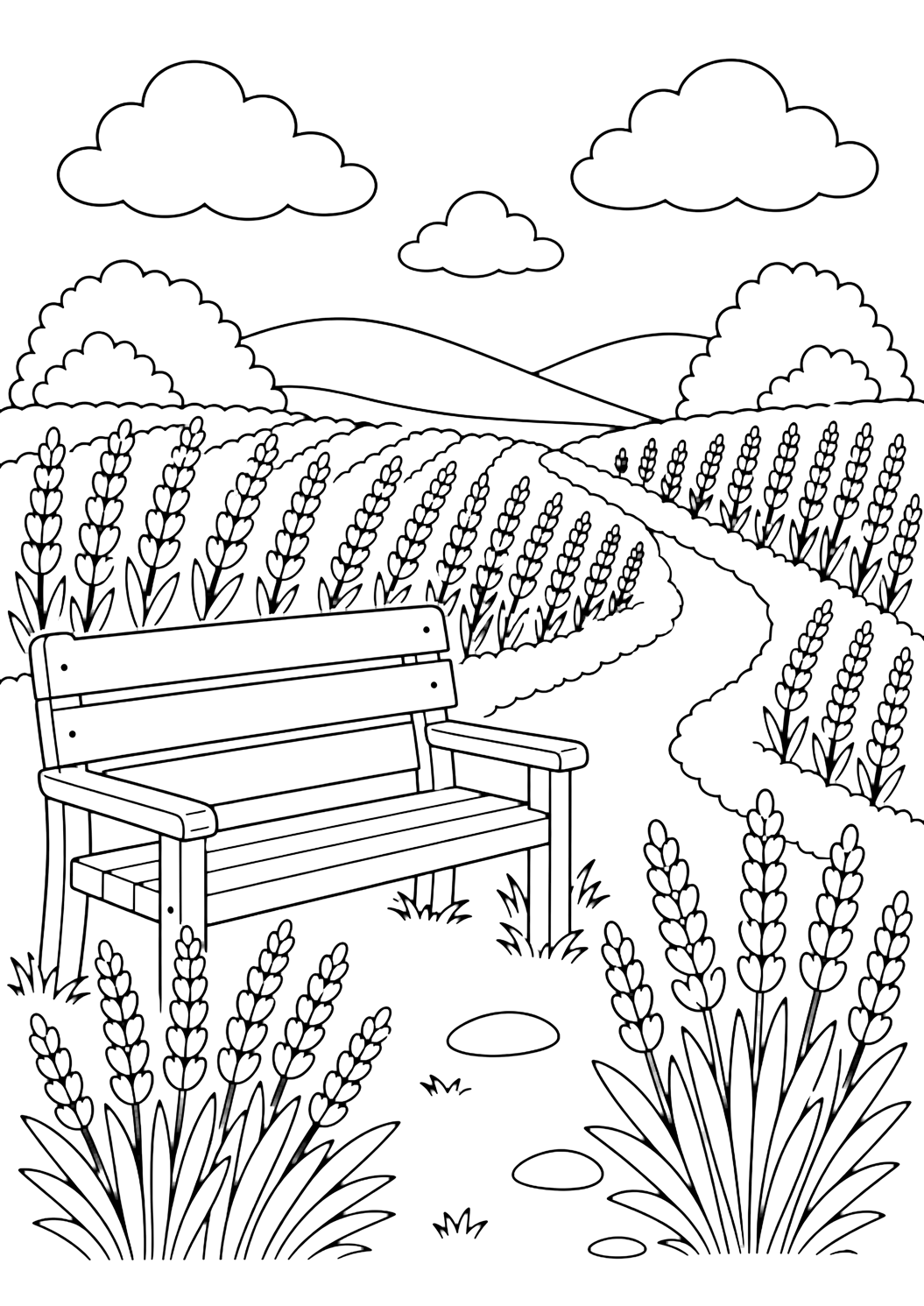 Disegno di campo di lavanda da colorare con una semplice panchina di legno accanto a un sentiero nel campo di lavanda, file di lavanda dietro, due cespugli arrotondati, colline basse, grandi nuvole e cielo aperto. Adatto a bambini, natura, stampa e colorazione online.