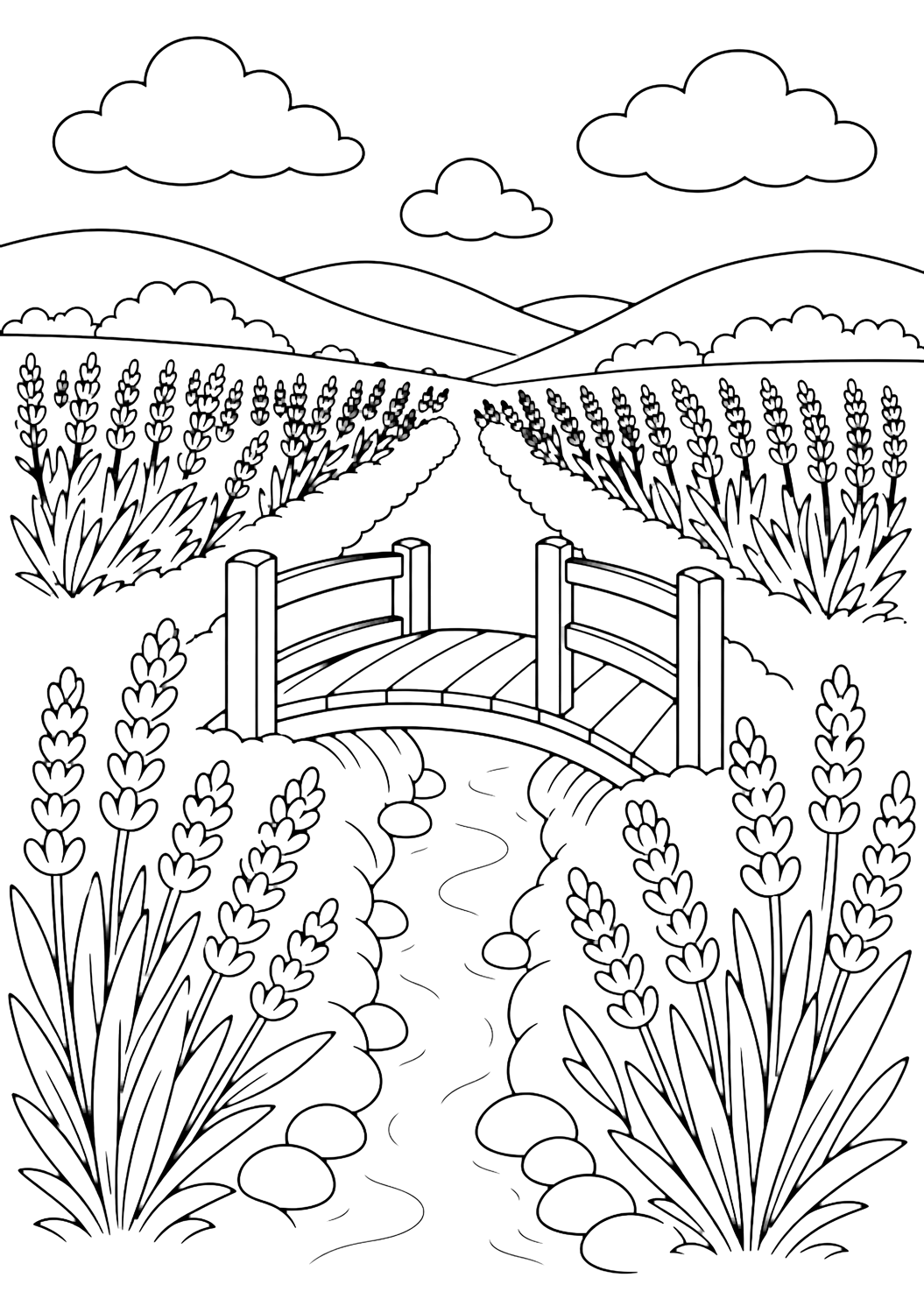 lavender field footbridge coloring page with a small wooden footbridge crossing a narrow ditch between lavender rows, smooth stones, simple field curves, low hills, broad clouds, and open sky for kids