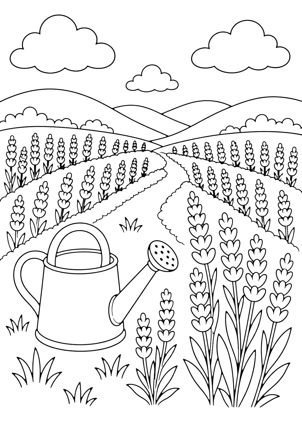 Disegno di campo di lavanda da colorare con un grande annaffiatoio accanto a file di lavanda, semplici rametti di lavanda, ciuffi d'erba, un sentiero curvo, colline basse, alcune nuvole e cielo aperto. Adatto a bambini, natura, stampa e colorazione online.
