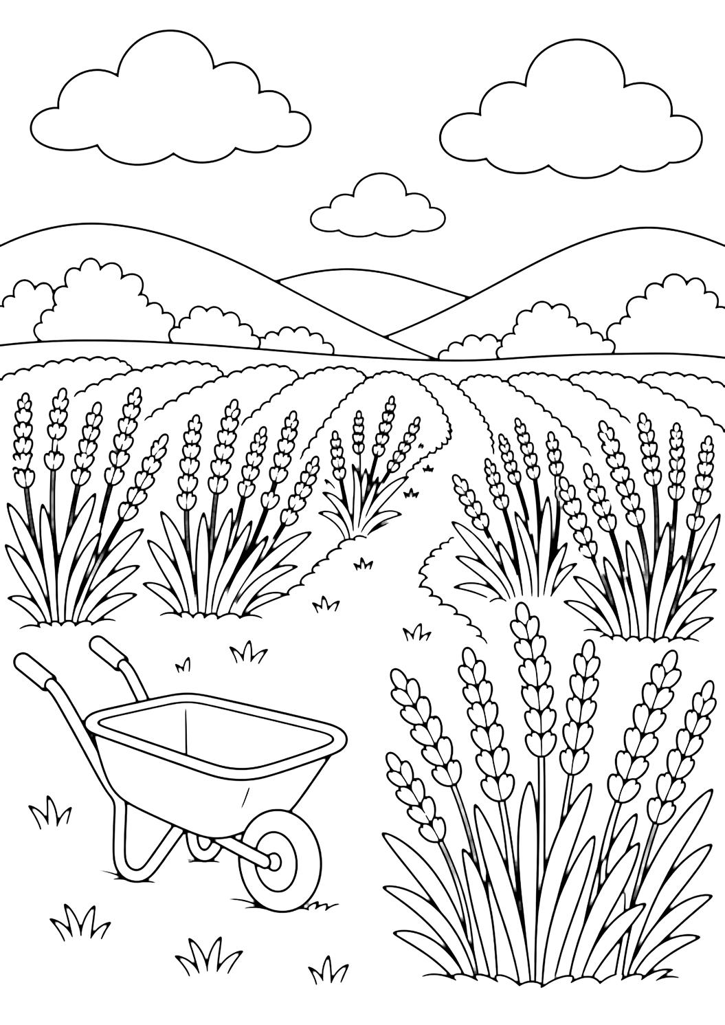 Dibujo para colorear de campo de lavanda con una pequeña carretilla vacía junto a filas ordenadas de lavanda, un camino de hierba, arbustos redondeados, colinas bajas, nubes amplias y cielo abierto. Ideal para niños, naturaleza, impresión y coloreado online.