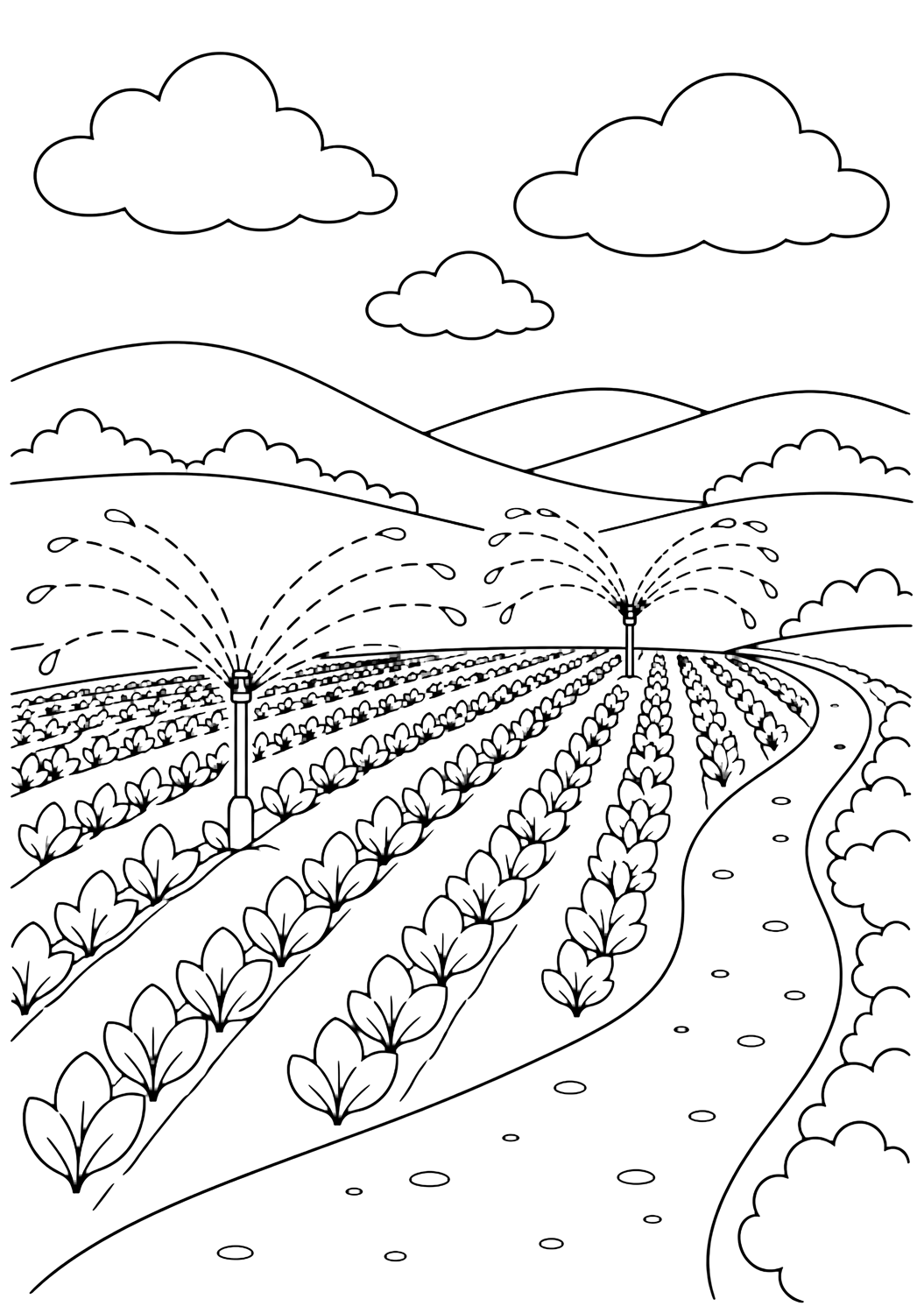 dibujo para colorear de granja con aspersores en el campo con un cultivo y dos aspersores sencillos que rocían amplios arcos de agua sobre hileras de plantas, con un camino de la granja, colinas bajas, nubes anchas y cielo abierto para niños