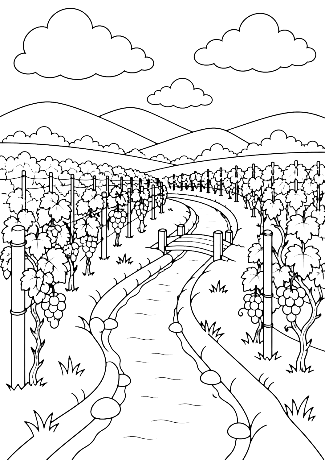 Bewässerungsgraben im Weinberg Ausmalbild mit einem schmalen Bewässerungsgraben neben Weinreihen, glatten Ufern, einfachen Rankgerüsten, einer kleinen Fußbrücke, niedrigen Hügeln, breiten Wolken und offenem Himmel für Kinder
