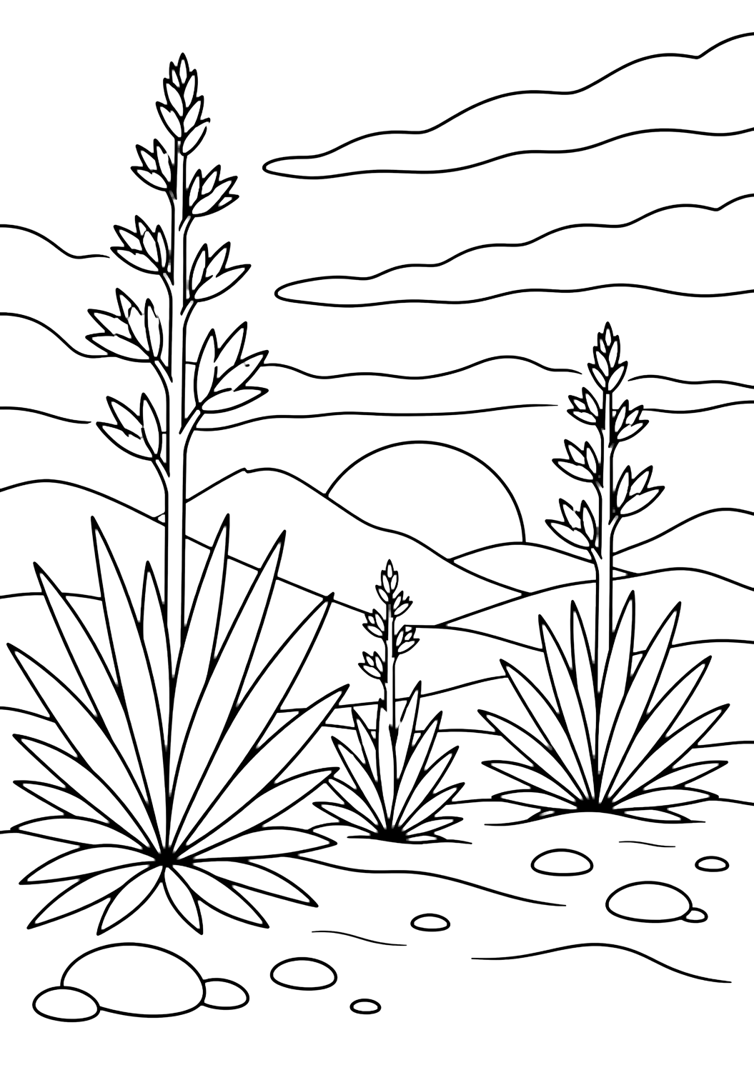yucca plants sunset coloring page with several tall yucca plants with broad pointed leaves in the foreground, a low round setting sun behind rolling desert hills, broad sky bands, sandy ground, and smooth stones for kids