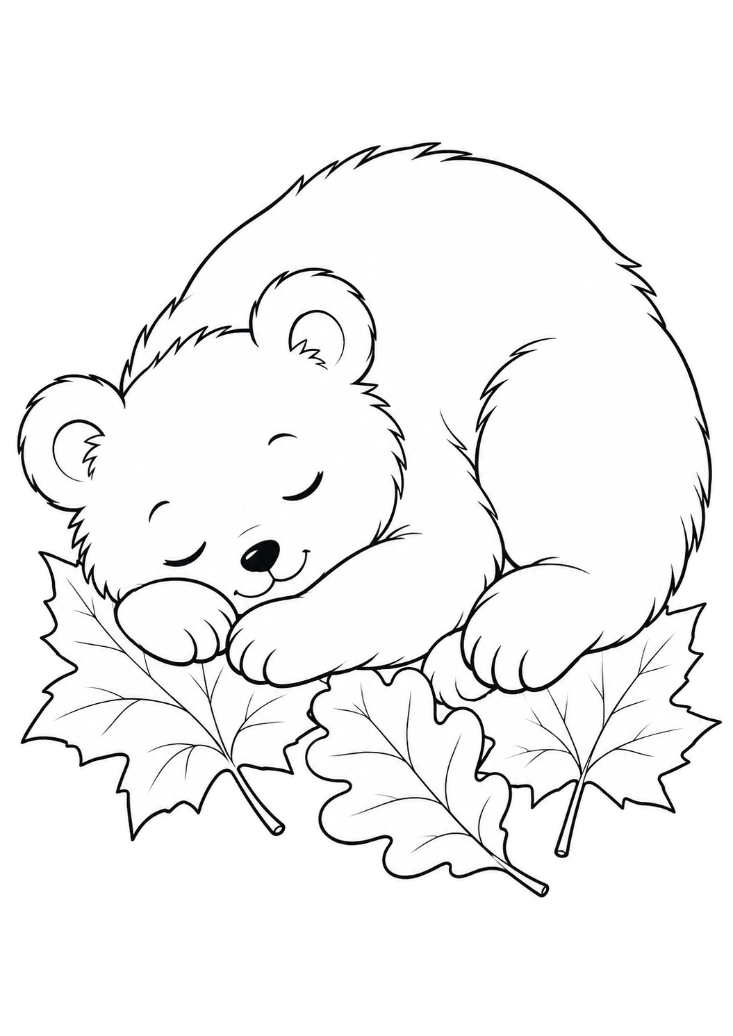 Schlafendes Bärenjunges auf drei übereinanderliegenden Herbstblättern.