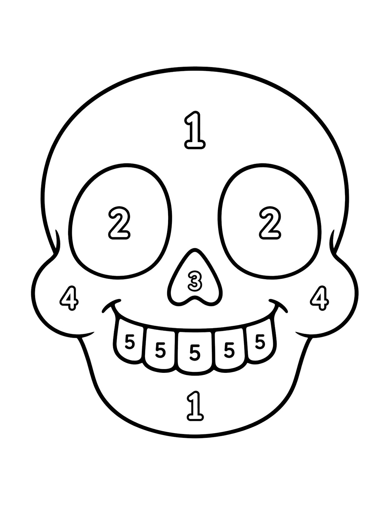 Crâne gentil à colorier par numéros avec un sujet central d’Halloween, des chiffres clairs, de larges zones à colorier et un fond blanc
